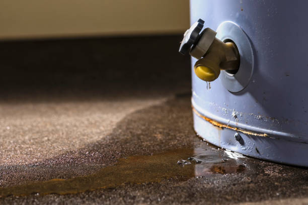 Best Residential water damage restoration  in Powell, OH