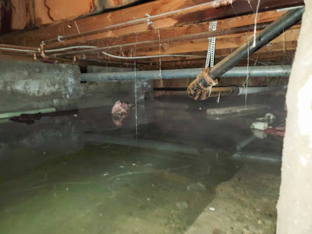 Best Water damage restoration near me  in Powell, OH