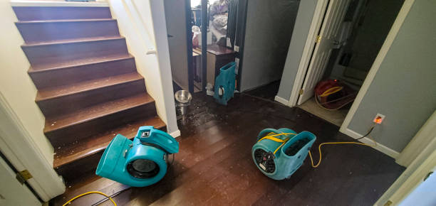 Best Water damage cleanup near me  in Powell, OH