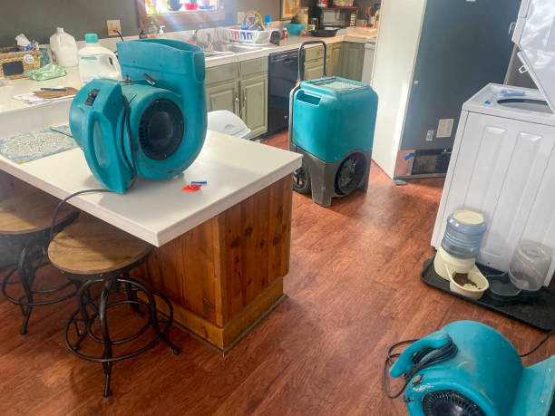 Best 24-hour water damage restoration  in Powell, OH