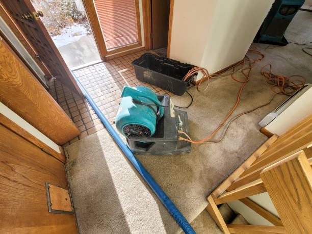 Best Sewage cleanup and water damage restoration  in Powell, OH