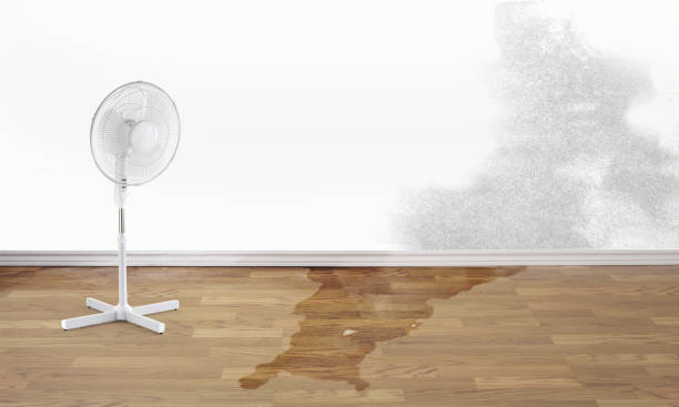 Best Ceiling water damage repair  in Powell, OH
