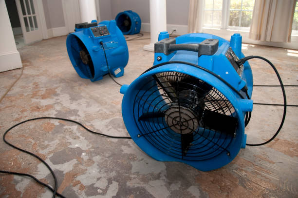 Best Residential water damage restoration  in Powell, OH